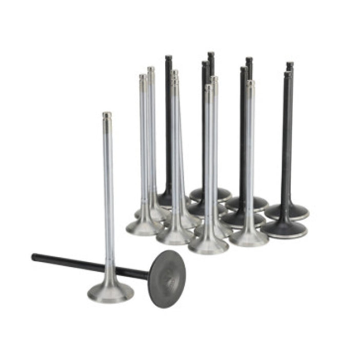 Skunk2 Honda K20C1 Alpha Series Intake & Exhaust Valve Set (Standard Compression)