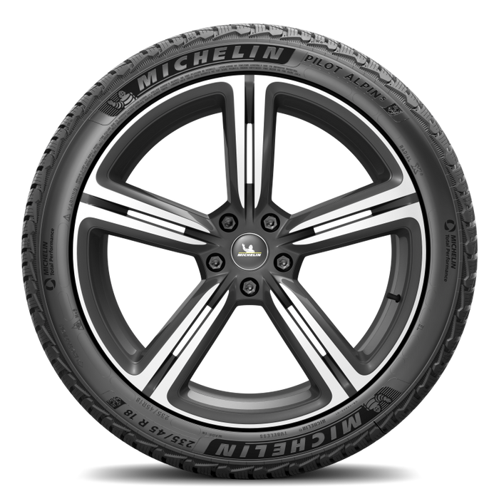 Michelin Pilot Alpin 5 315/30R21 109V XL
