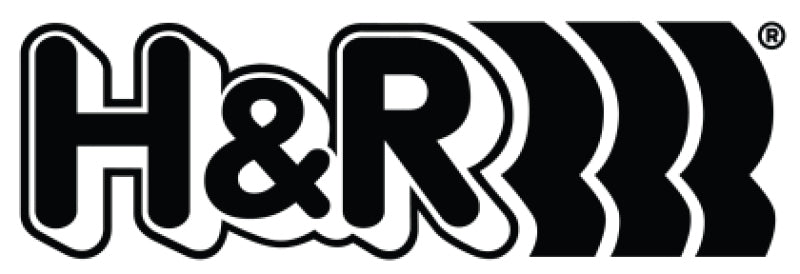 H&R Replacement 27mm Sway Bar Bushing