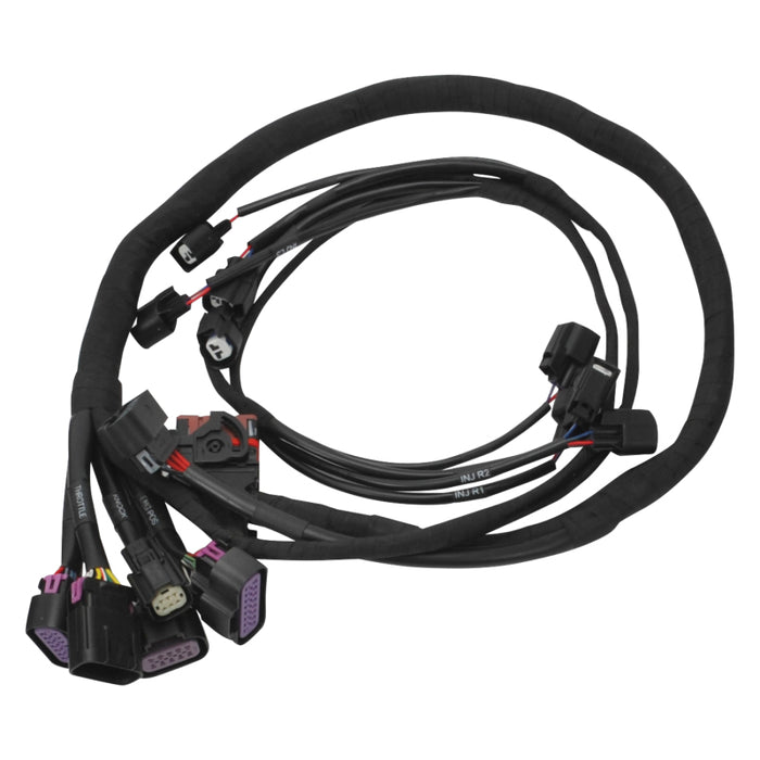 Edelbrock Chevy Gen III/IV LS Pro-Flo 4+ EFI Engine Management System