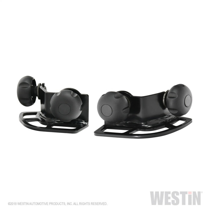 Westin Multi-Point HLR Adjustable Tie Down - Black