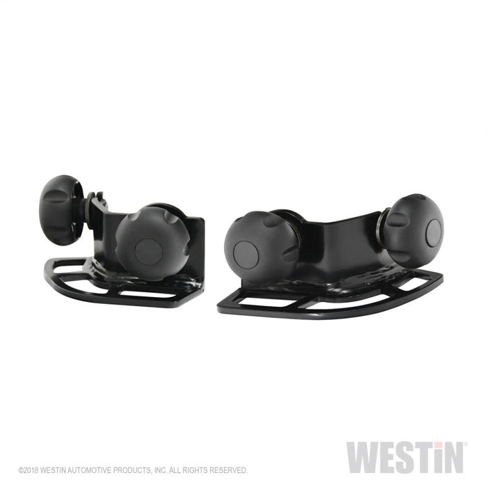 Westin Multi-Point HLR Adjustable Tie Down - Black