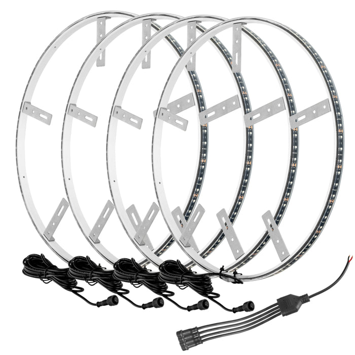 Oracle LED Illuminated Wheel Rings - Aqua