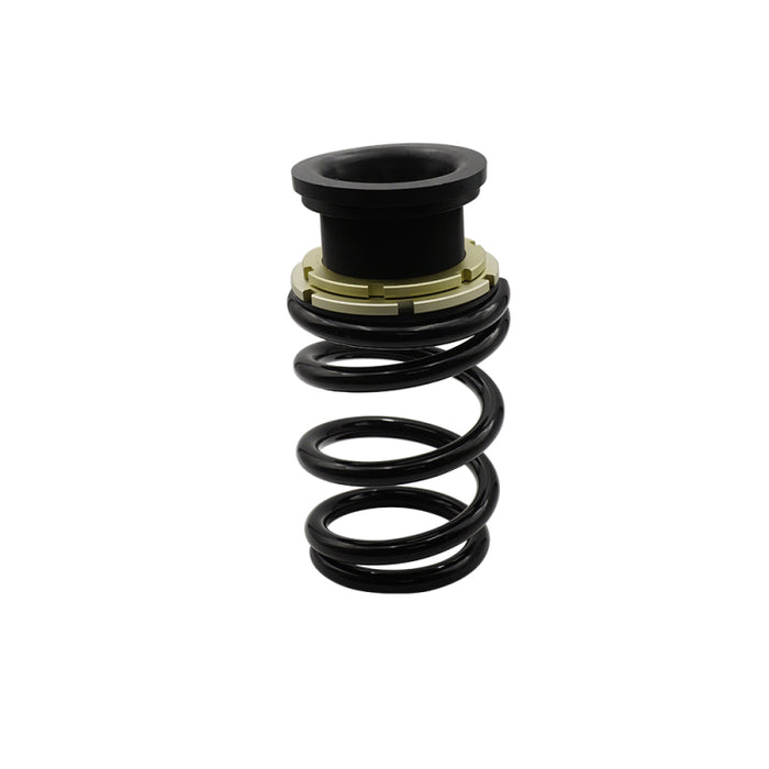 BLOX Racing 17-22 Tesla Model 3 Rwd Plus Series Fully Adjustable Coilovers